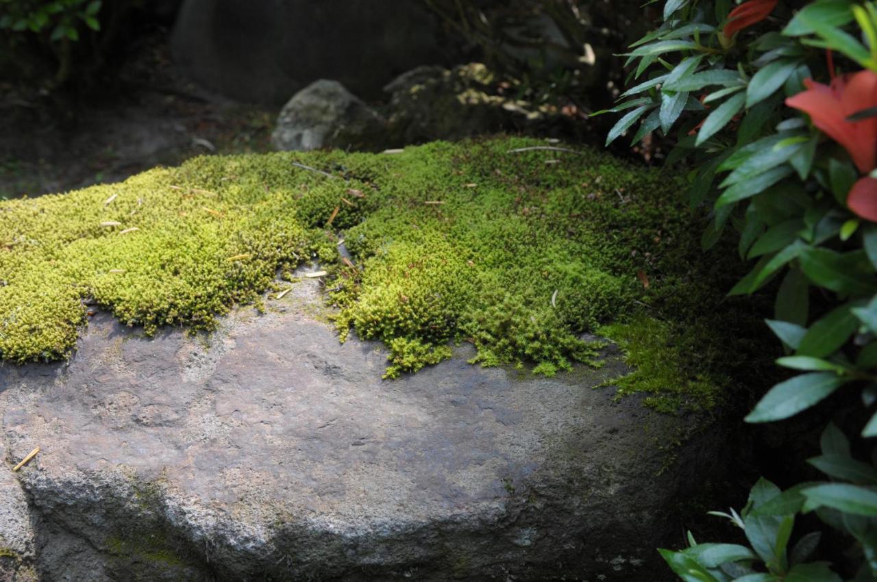 Owani Historical Ryokan Senyukan酒店 外观 照片