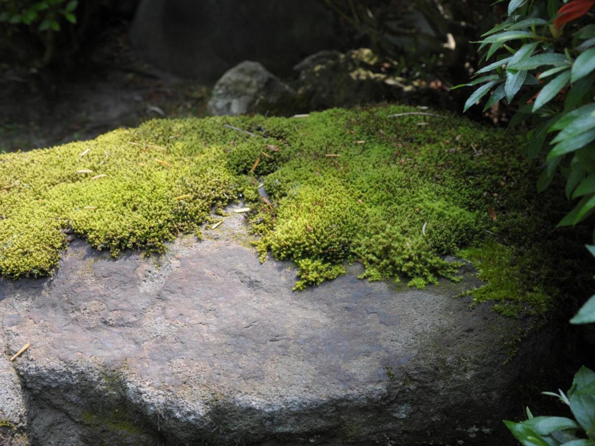 Owani Historical Ryokan Senyukan酒店 外观 照片