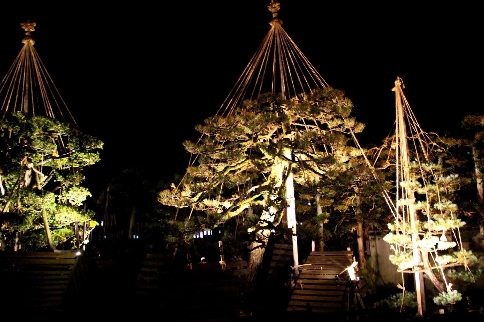 Historical Ryokan Senyukan Owani 外观 照片